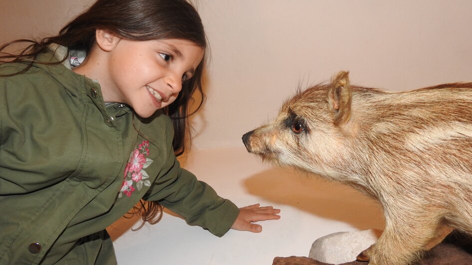 Museum Schloss Großsölk - Impressionen #2.2 | © Naturpark Sölktäler