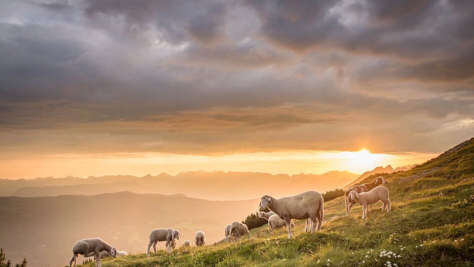 Sonnenaufgangswanderung - Impressionen #2.4