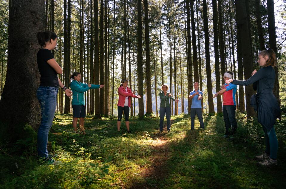 Waldbaden - Impression #1 | © TV Grimming-Donnersbachtal/Christoph Lukas