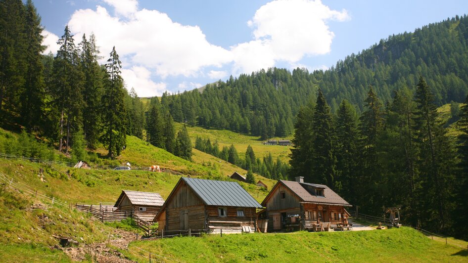 Die Adambauernalm ist in 1 Stunde zu Fuß erreichbar. | © Herbert Raffalt