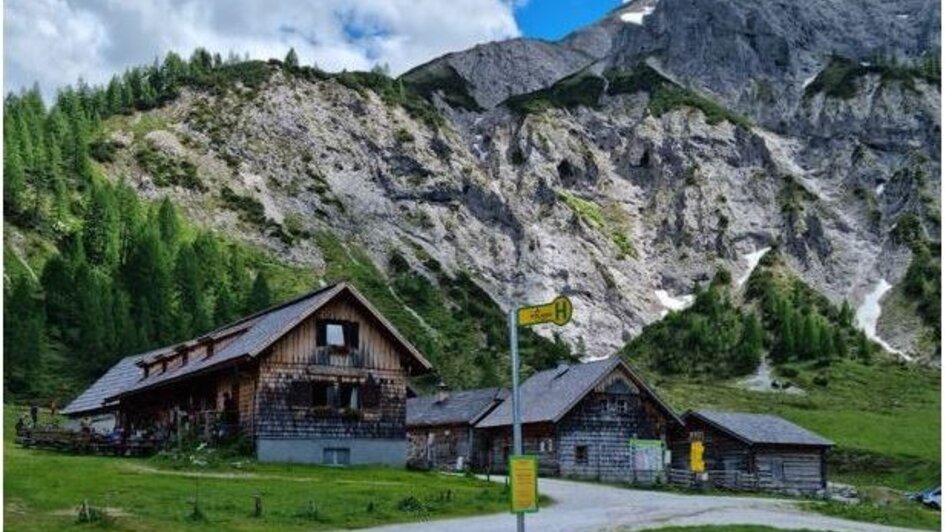 Mit dem Wanderbus in die Ursprungalm - Preuneggtal | © Planai