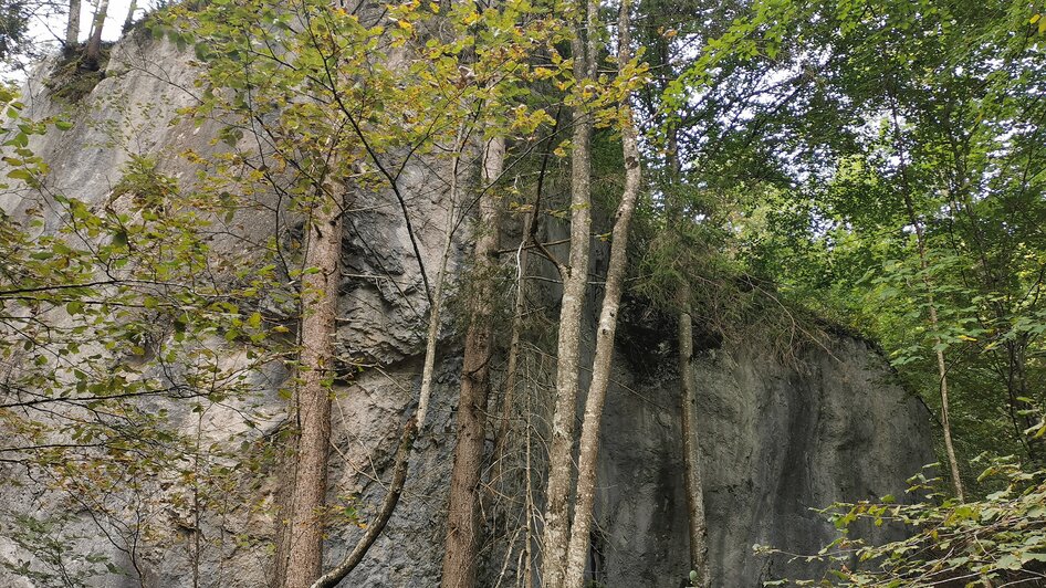 Felsen-Wasserplatz