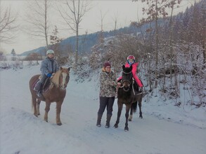 Geführte Pony- und Pferdewanderungen | © Elke Sulzbacher 