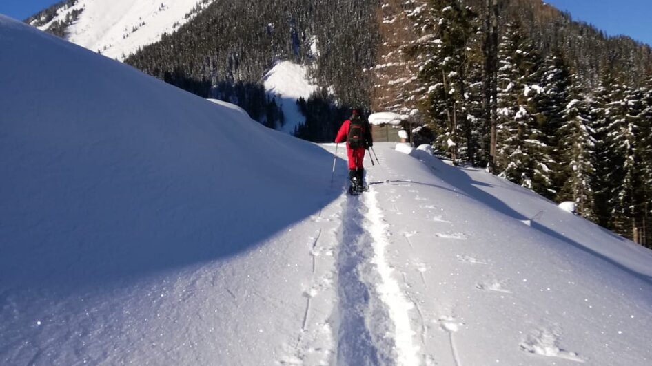 Hansenalm - Impression #2.6