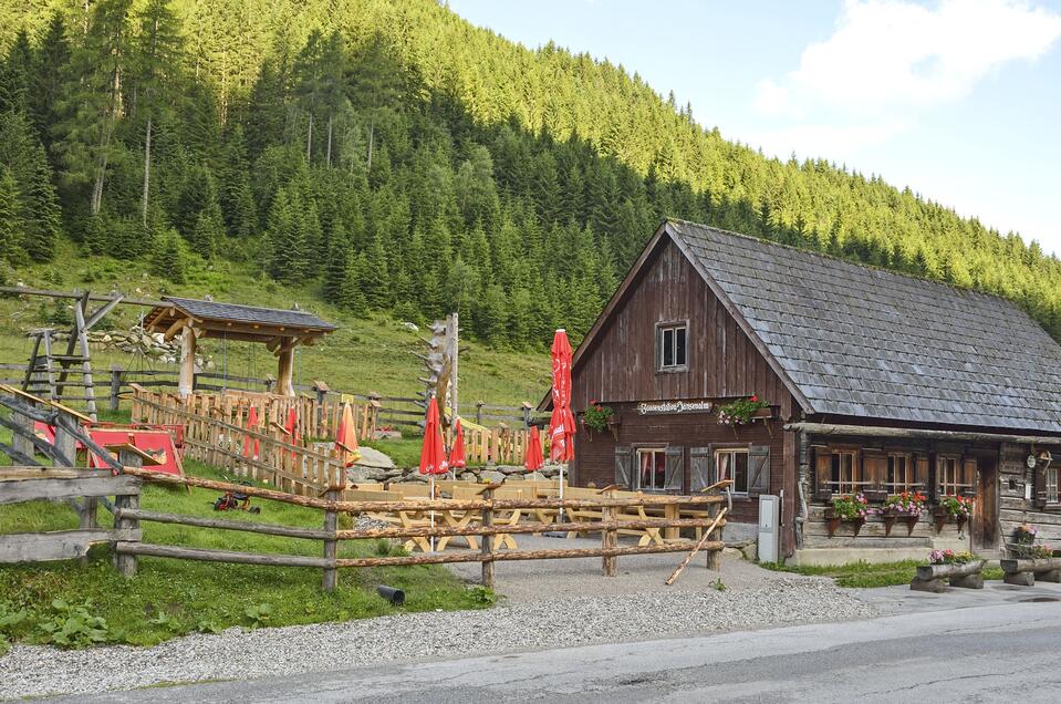 Hansenalm - Impression #1 | © Herfried Marek
