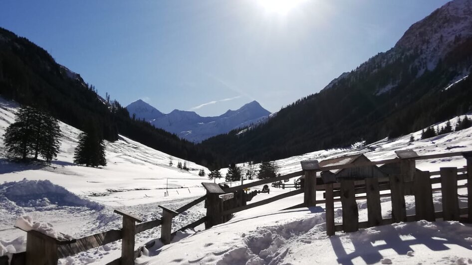 Hansenalm - Impression #2.9