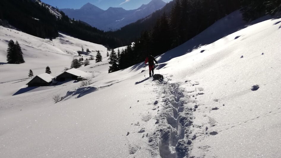 Hansenalm - Impression #2.10
