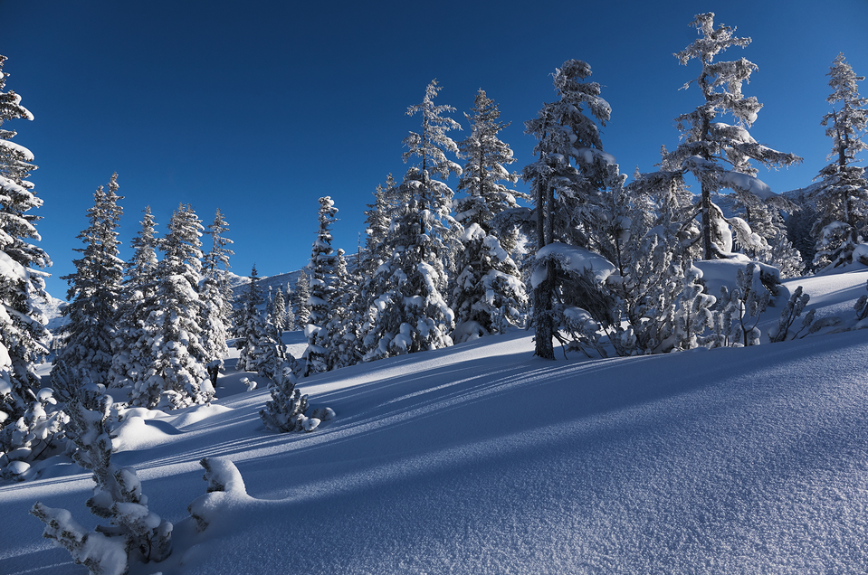 Hexenwald & Co auf der Planneralm - Impression #1