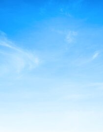 Lilabunt & Himmelblau  | Boonyachoat | © Symbolfoto 