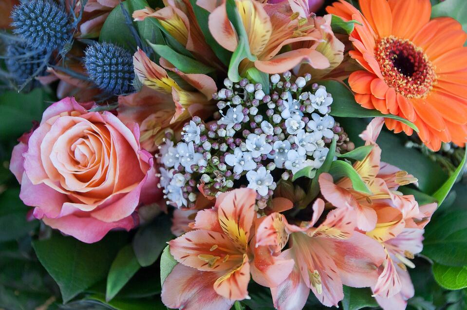 Prima Flora - Monika Huber - Impression #1 | © Symbolfoto