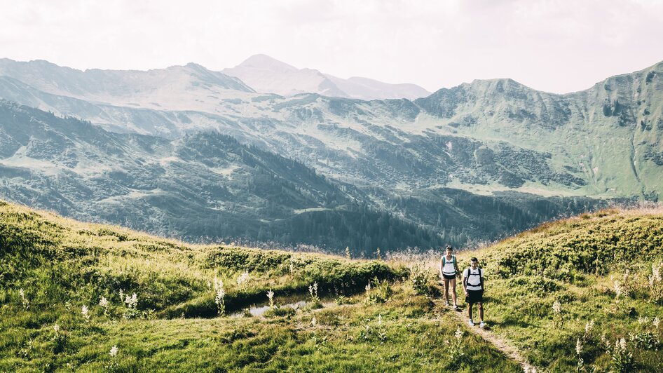 Riesneralm - Impression #2.5 | © Armin Walcher