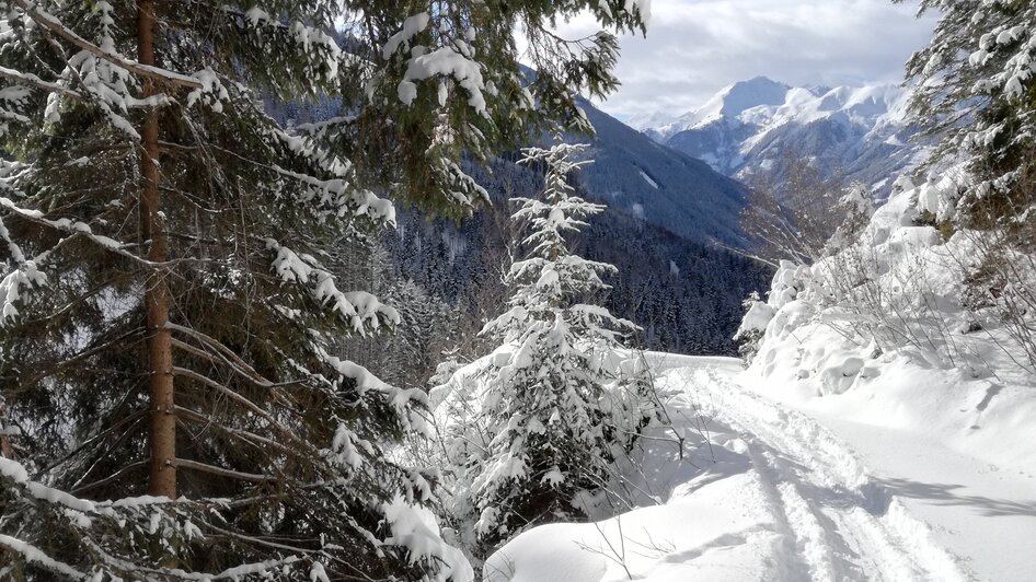 Schönwetterhütte - Impression #2.12