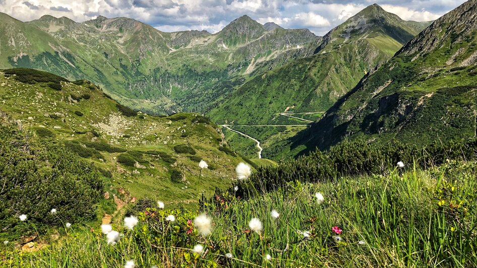 Blick auf den Sölkpass