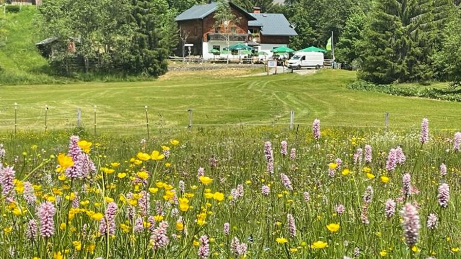 Spechtenseehütte - Impression #2.3